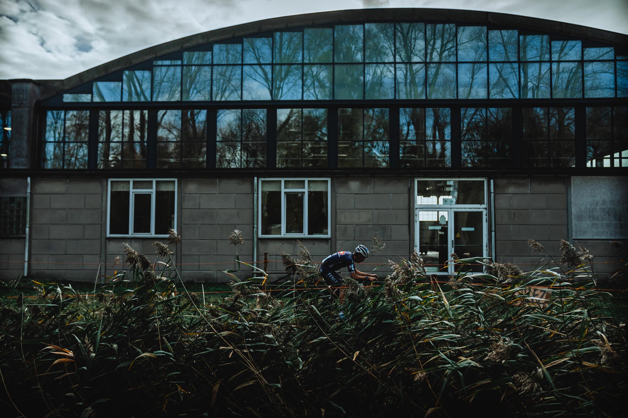 Bicycle racer going past a building with shrubs in foreground.
